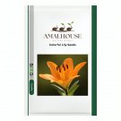 Colorful Lily - 100 PCS Seeds