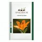 Colorful Lily - 100 PCS Seeds