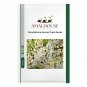 Commiphora harveyi Fresh - 5 PCS Seeds