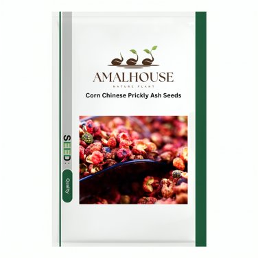 Corn Chinese Prickly Ash - 100 PCS Seeds