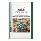 Coryphantha pycnacantha Rare Cactus Succulent Plants - 10 PCS Seeds