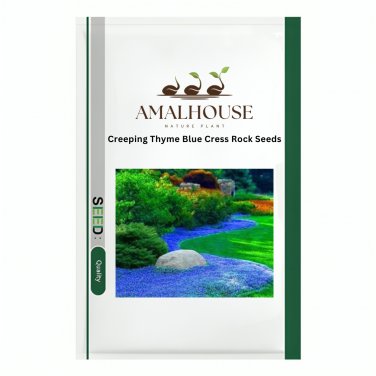 Creeping Thyme Blue Cress Rock - 300 PCS Seeds