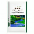 Creeping Thyme Bonsai - 100 PCS Seeds