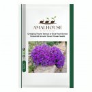 Creeping Thyme Bonsai or Blue Rock Bonsai Perennial Ground Cover Flower - 100 PCS Seeds