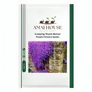 Creeping Thyme Bonsai Purple Flowers - 100 PCS Seeds