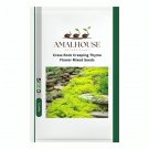Cress Rock Creeping Thyme Flower Mixed - 100 PCS Seeds