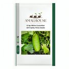 Crisp White Cucumber with Spiky Vines - 40 PCS Seeds