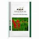 Crocosmia Lucifer Plant - 100 PCS Seeds