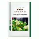Crown of Thorn Flower - 20 PCS Seeds