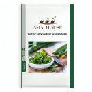 Cutting-Edge Cultivar Scallion - 3 PCS Seeds
