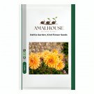 Dahlia Garden Kind Flower - 100 PCS Seeds