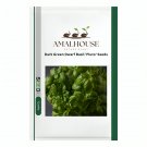 Dark Green Dwarf Basil 'Pluto' - 100 PCS Seeds