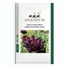 Deep Crimson Black Single Petal Peony - 20 PCS Seeds