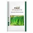 Divine No.2 Chinese Leek - 5 PCS Seeds