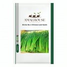 Divine No.1 Chinese Leek - 5 PCS Seeds