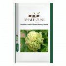 Double-Petaled Green Peony - 20 PCS Seeds