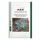 Dudleya cultrata Succulents Garden Plants - 20 PCS Seeds