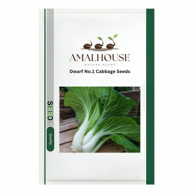 Dwarf No.1 Cabbage - 5 PCS Seeds