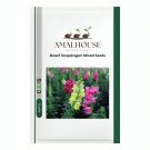 Dwarf Snapdragon Mixed - 500 PCS Seeds