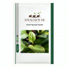 Dwarf Spinach - 10 PCS Seeds