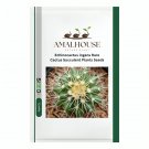 Echinocactus ingens Rare Cactus Succulent Plants - 10 PCS Seeds