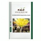 ECHINOCEREUS dasyacanthus - 10 PCS Seeds