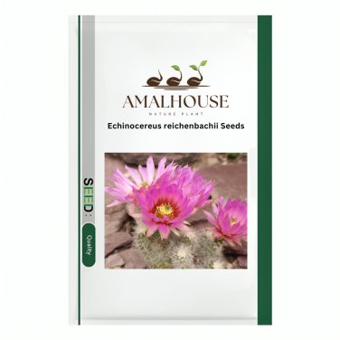 Echinocereus reichenbachii - 10 PCS Seeds