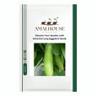 Elevate Your Garden with Emerald Long Eggplant - 100 PCS Seeds