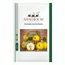 European Quince - 30 PCS Seeds