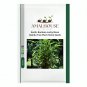 Exotic Bamboo Lucky Moso Bambu Tree Plant Home - 50 PCS Seeds