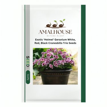Exotic 'Heimei' Geranium White, Red, Black Cranesbills Trio - 10 PCS Seeds