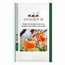 Exotic Persimmon Fruit Tree Outdoor Non-GMO Juicy - 10 PCS Seeds