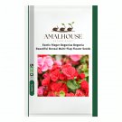 Exotic Rieger Begonias Begonia Beautiful Bonsai Multi-Flap Flower - 100 PCS Seeds
