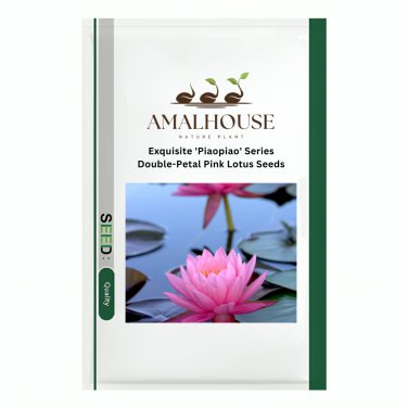 Exquisite 'Piaopiao' Series Double-Petal Pink Lotus - 20 PCS Seeds