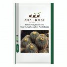 Ferocactus glaucescens Rare Cactus Succulent Plants - 10 PCS Seeds