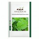 florida Broadleaf Mustard Green - 100 PCS Seeds
