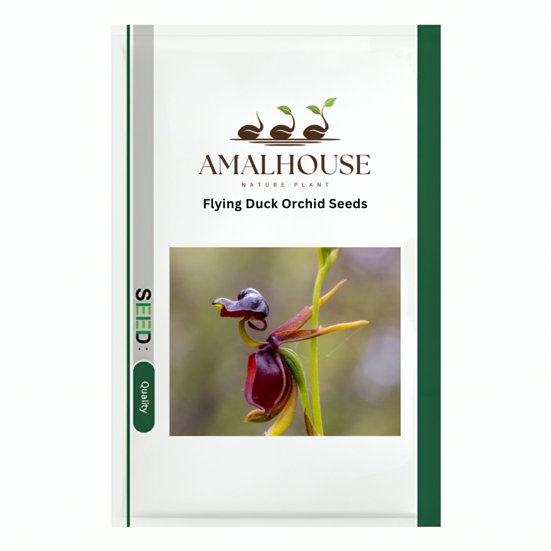 Flying Duck Orchid - 200 PCS Seeds