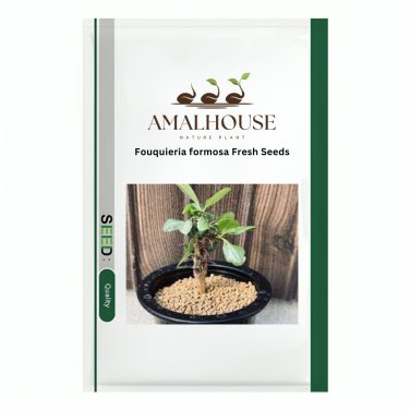 Fouquieria formosa Fresh - 5 PCS Seeds