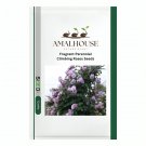 Fragrant Perennial Climbing Roses - 100 PCS Seeds