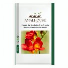 Freesia Garden Bulbs True Freesia Bonsai Flowers Orchid - 100 PCS Seeds