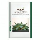 Fresh Real Ariocarpus retusus - 100 PCS Seeds