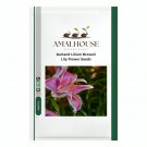 Garland Lilium Brownii Lily Flower - 100 PCS Seeds