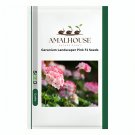Geranium Landscaper Pink F1 - 20 PCS Seeds