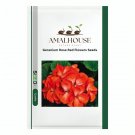 Geranium Rose Red Flowers - 100 PCS Seeds