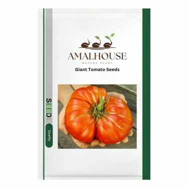 Giant Tomato - 100 PCS Seeds