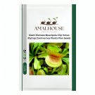 Giant Dionaea Muscipula Clip Venus Flytrap Carnivorous Plants Plan - 20 PCS Seeds