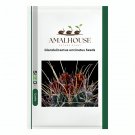 Glandulicactus uncinatus - 10 PCS Seeds