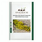 GOLDEN ACRE SEDUM STONECROP GOLD MOSS Flower - 200 PCS Seeds