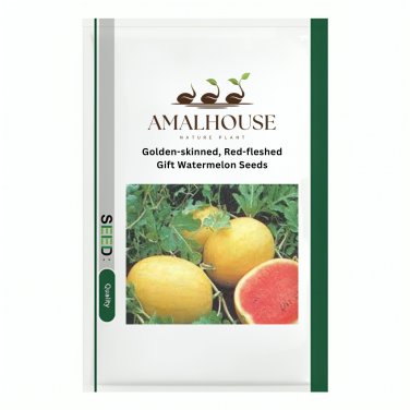 Golden-skinned, Red-fleshed Gift Watermelon - 20 PCS Seeds