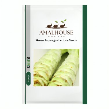 Green Asparagus Lettuce - 3000 PCS Seeds